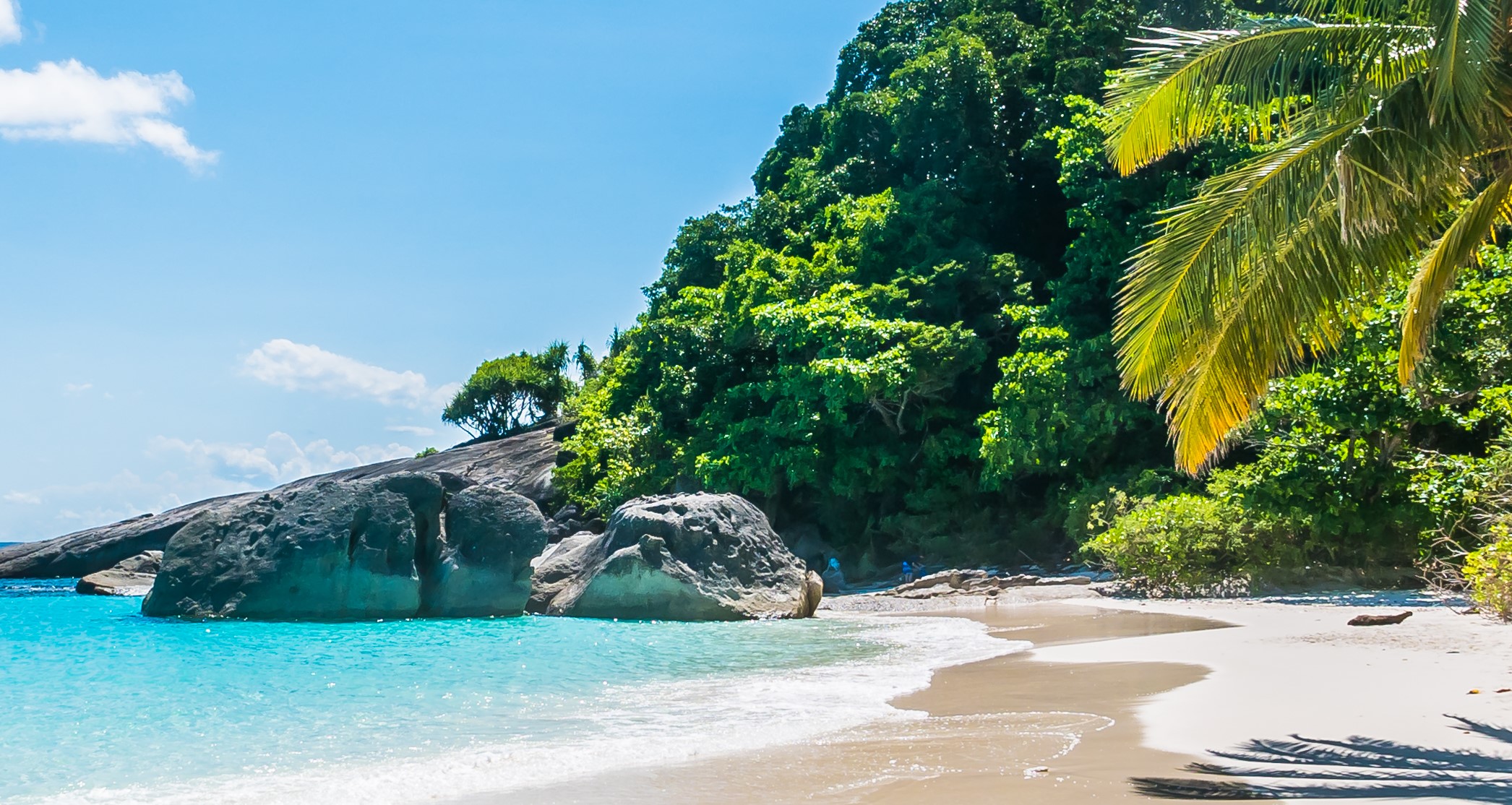 Plage paradisiaque